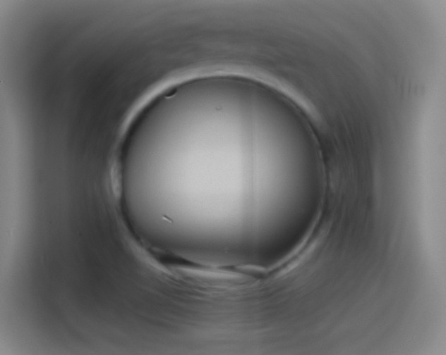 X0000114391510200910231006