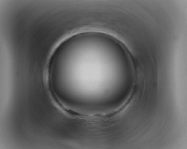 X0000114391511200910231006