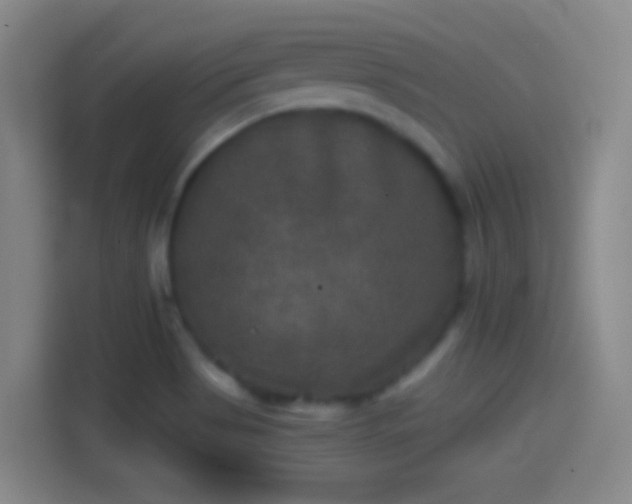 X0000114391513200910231006