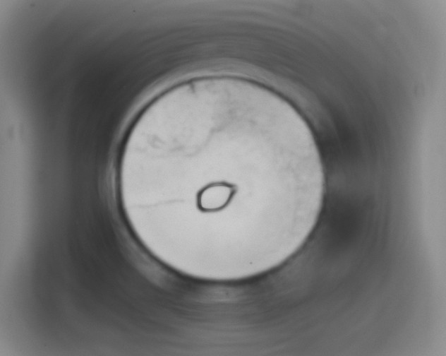 X0000114391514200910231006