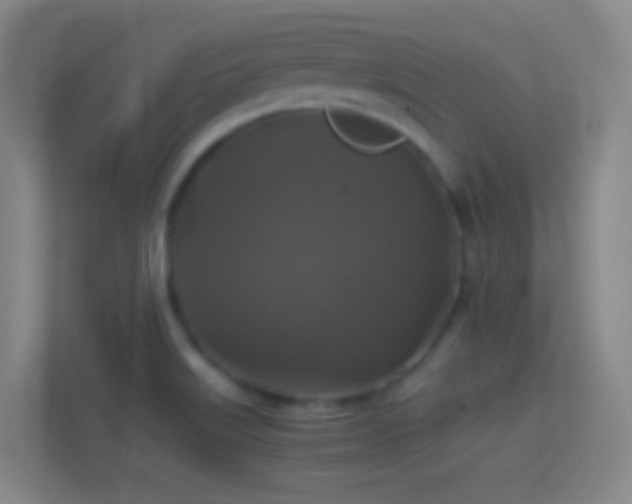 X0000114391515200910231006