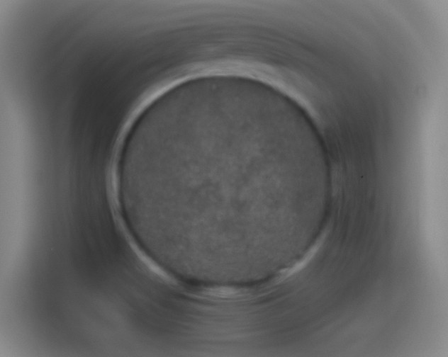 X0000114391517200910231006