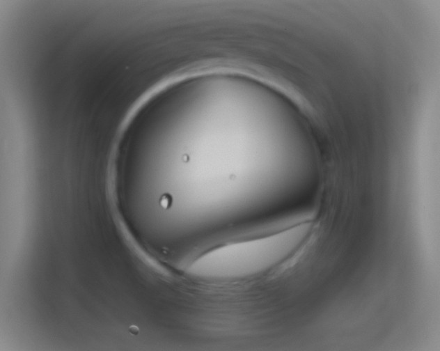 X0000114391518200910231006