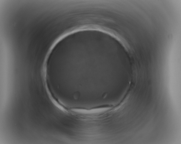 X0000114391519200910231006