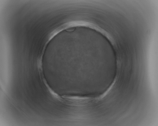 X0000114391521200910231006