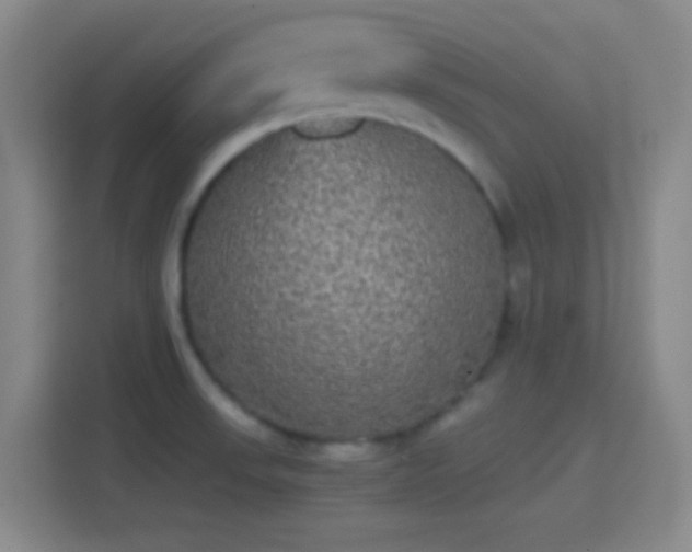 X0000114391523200910231006