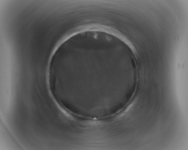 X0000114391525200910231006