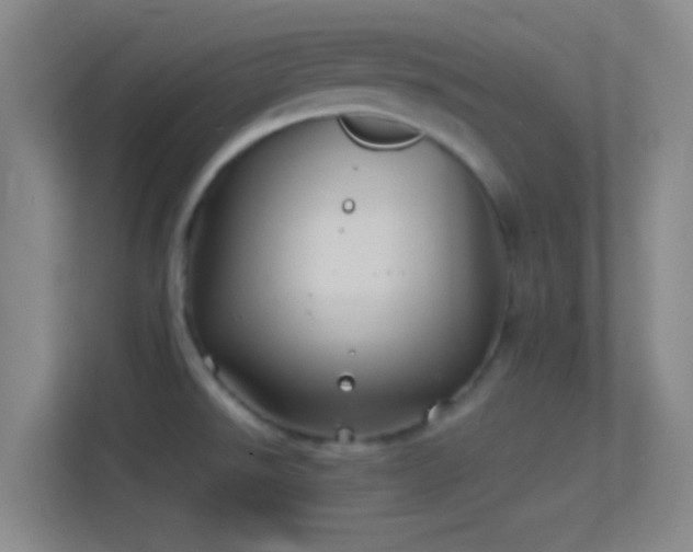 X0000114391526200910231006