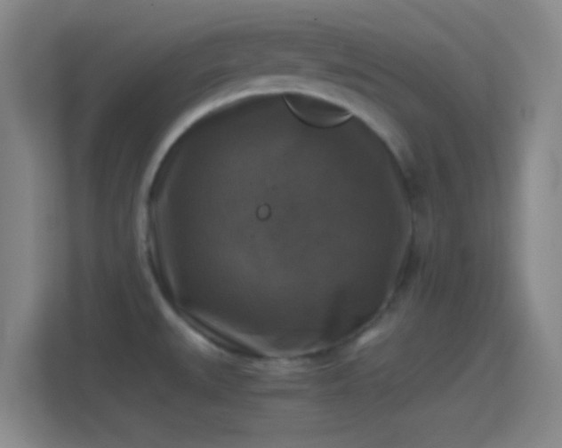 X0000114391527200910231006
