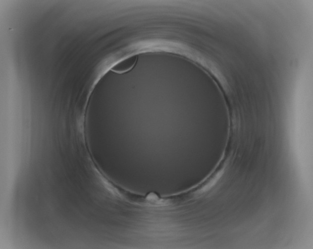 X0000114391529200910231006