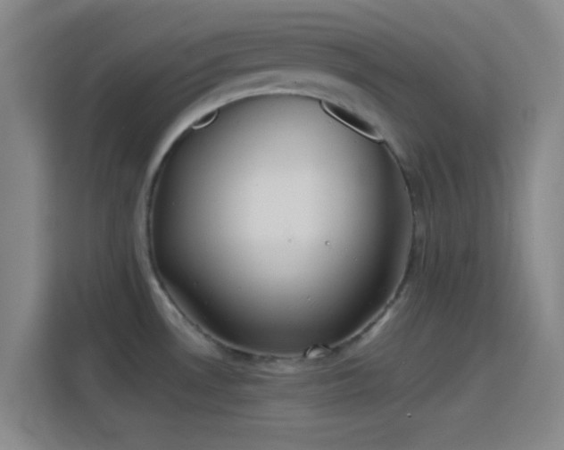 X0000114391530200910231006