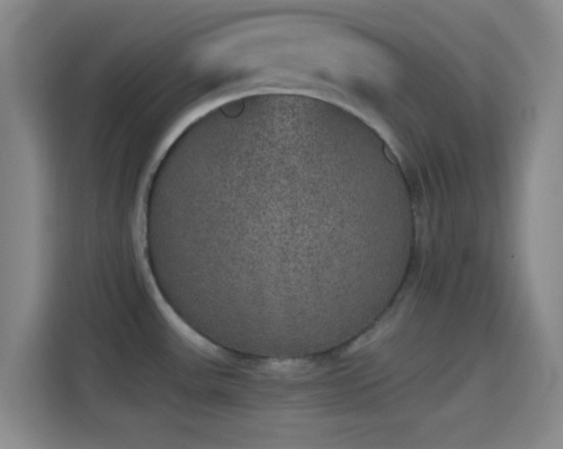 X0000114391531200910231006