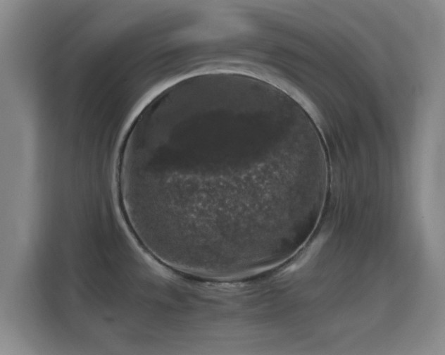 X0000114391533200910231006