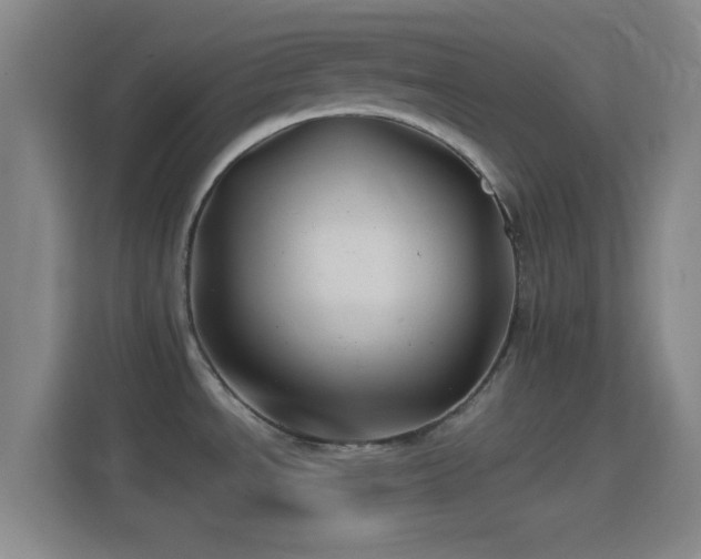 X0000114391534200910231006