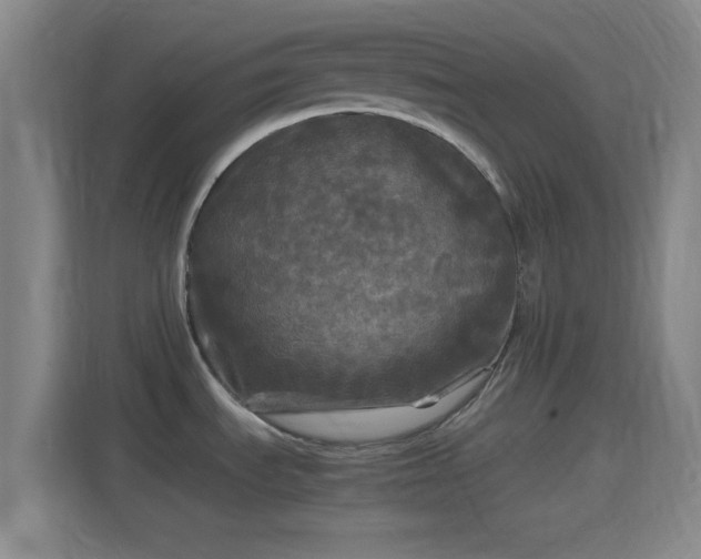 X0000114391535200910231006