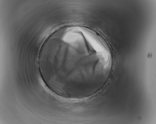 X0000114390002200911061525