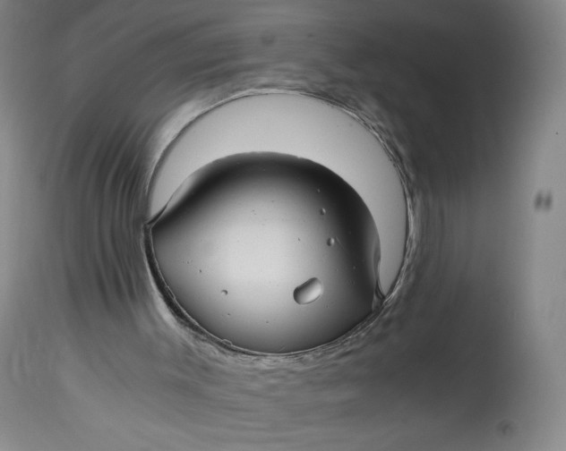 X0000114390003200911061525