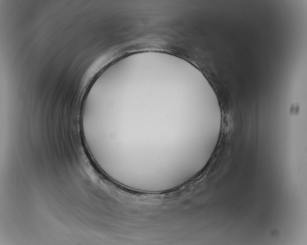 X0000114390004200911061525
