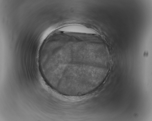 X0000114390006200911061525