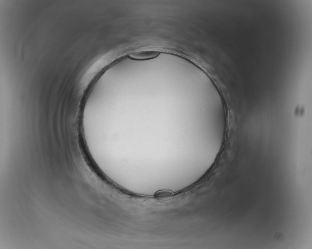 X0000114390007200911061525
