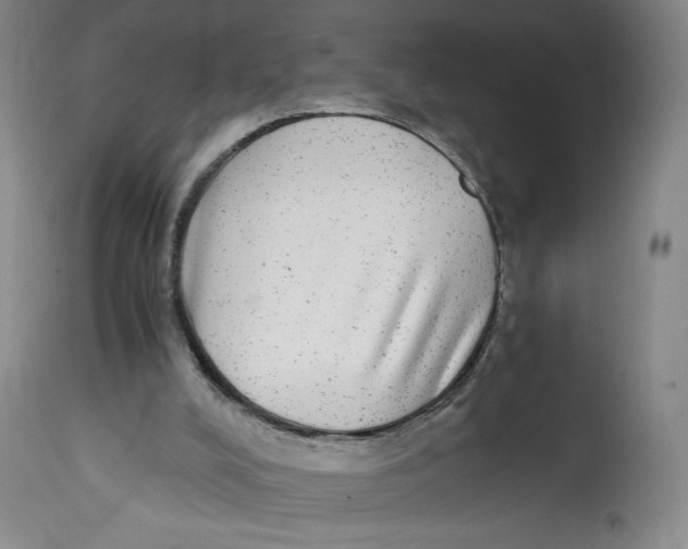 X0000114390008200911061525
