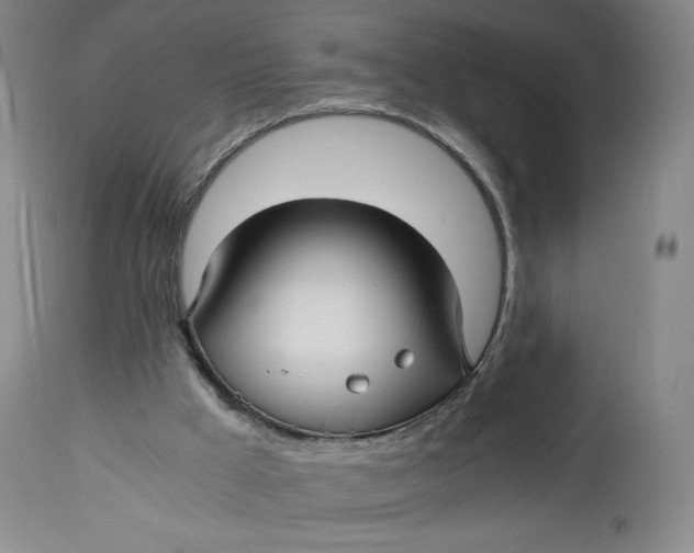 X0000114390009200911061525
