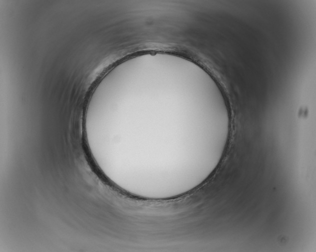 X0000114390011200911061525