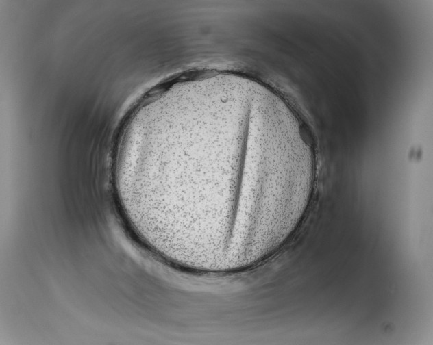 X0000114390012200911061525