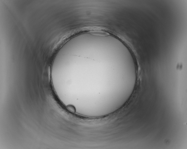 X0000114390013200911061525