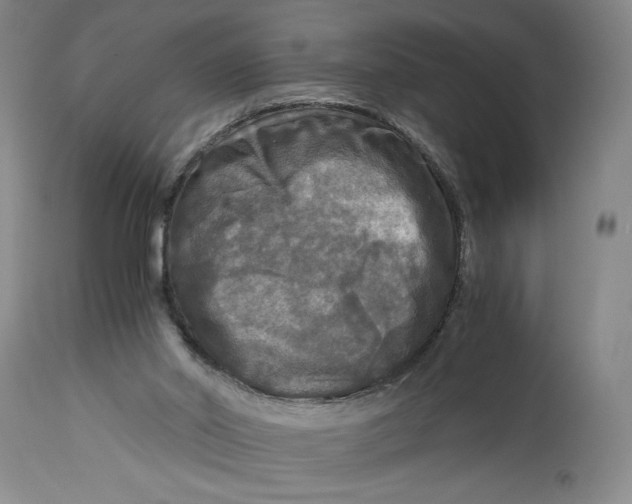 X0000114390014200911061525