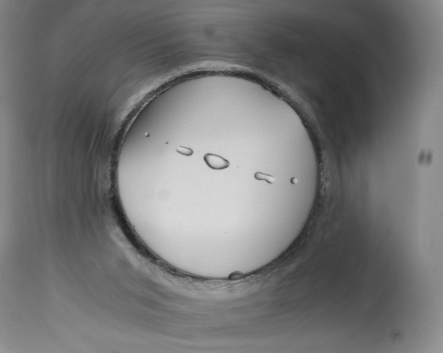 X0000114390015200911061525