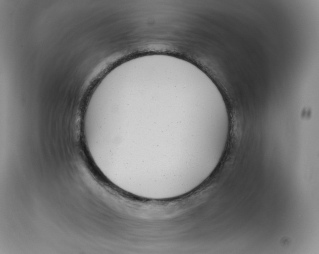 X0000114390016200911061525