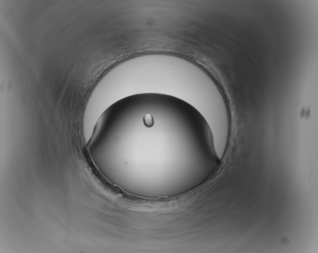 X0000114390017200911061525