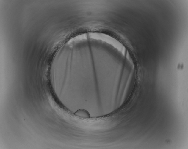 X0000114390018200911061525
