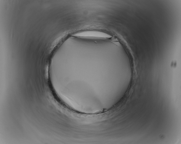 X0000114390019200911061525