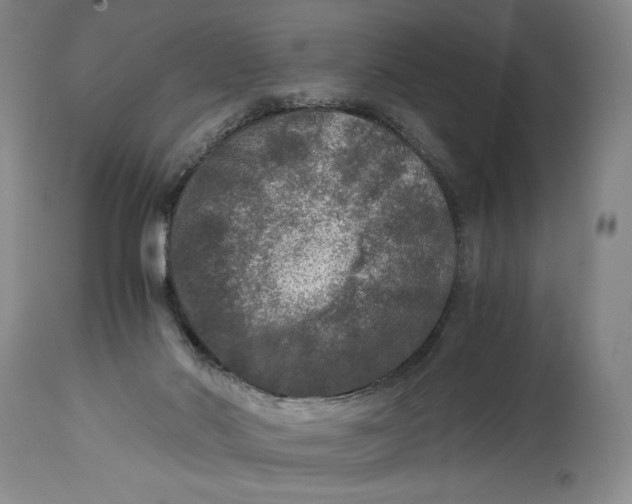 X0000114390022200911061525