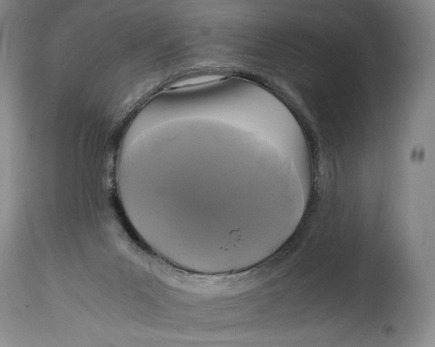 X0000114390023200911061525