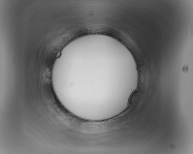 X0000114390025200911061525