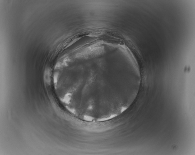 X0000114390026200911061525