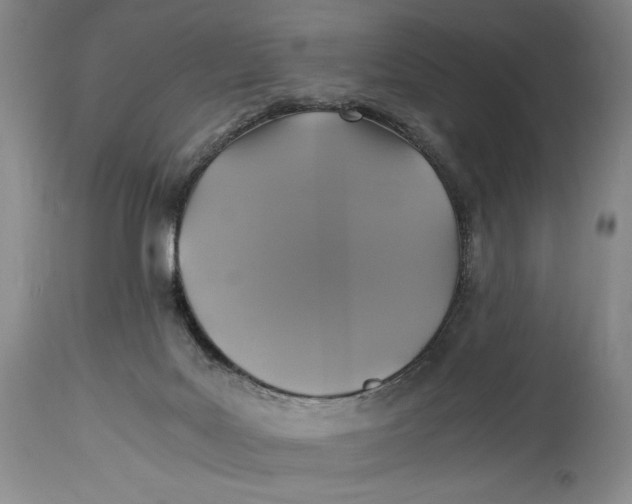 X0000114390027200911061525