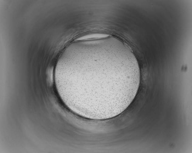 X0000114390028200911061525