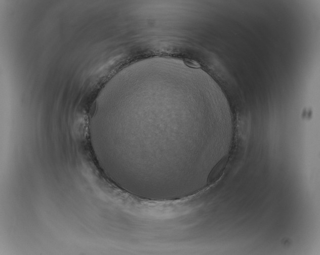 X0000114390029200911061525