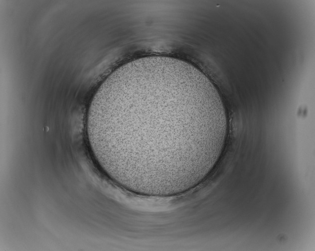 X0000114390032200911061525