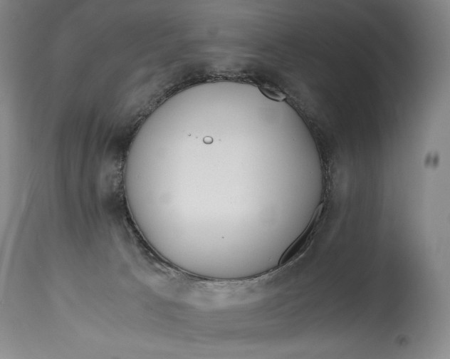 X0000114390033200911061525
