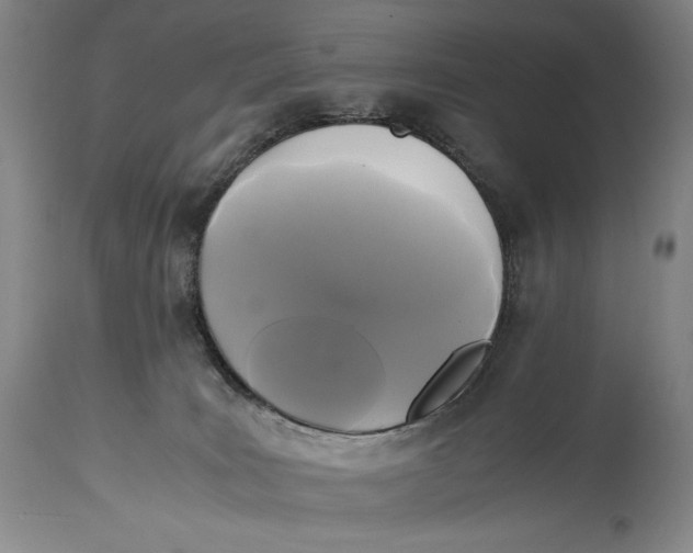 X0000114390035200911061525