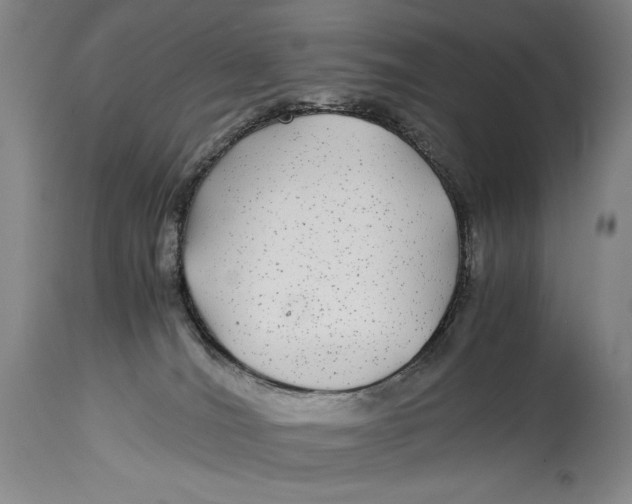 X0000114390036200911061525