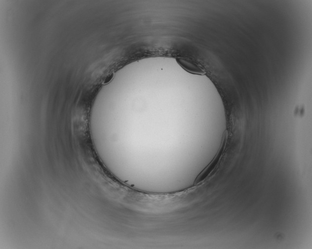 X0000114390037200911061525