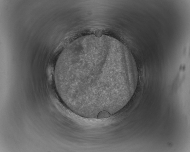 X0000114390038200911061525