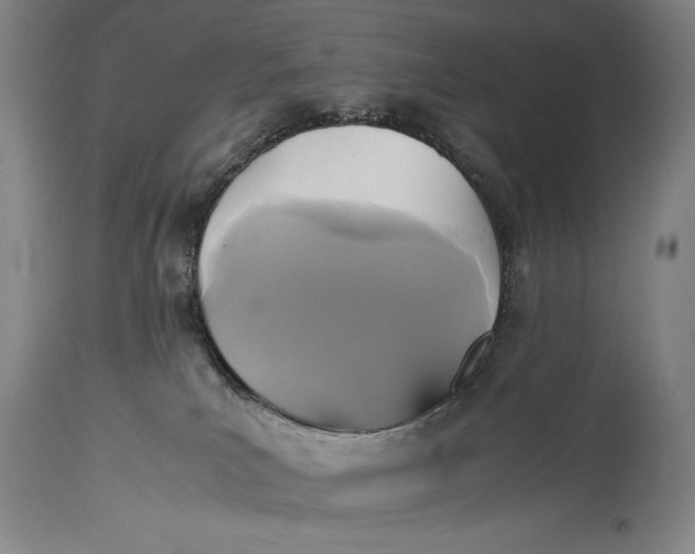 X0000114390039200911061525