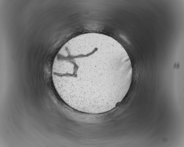 X0000114390040200911061525